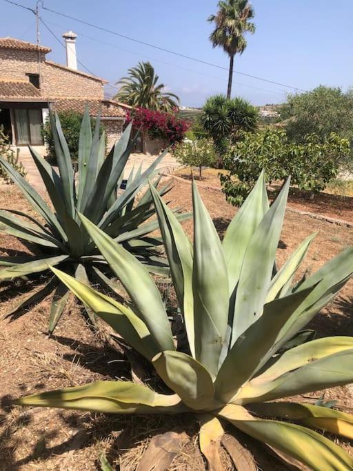 Rustico Appartment 'Olta' In Finca, See-And Garden Side Teulada Exterior foto